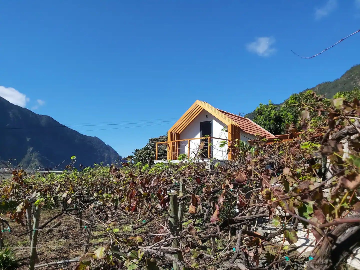 O chalé entre as vinhas, com a serra de São Vicente ao fundo
