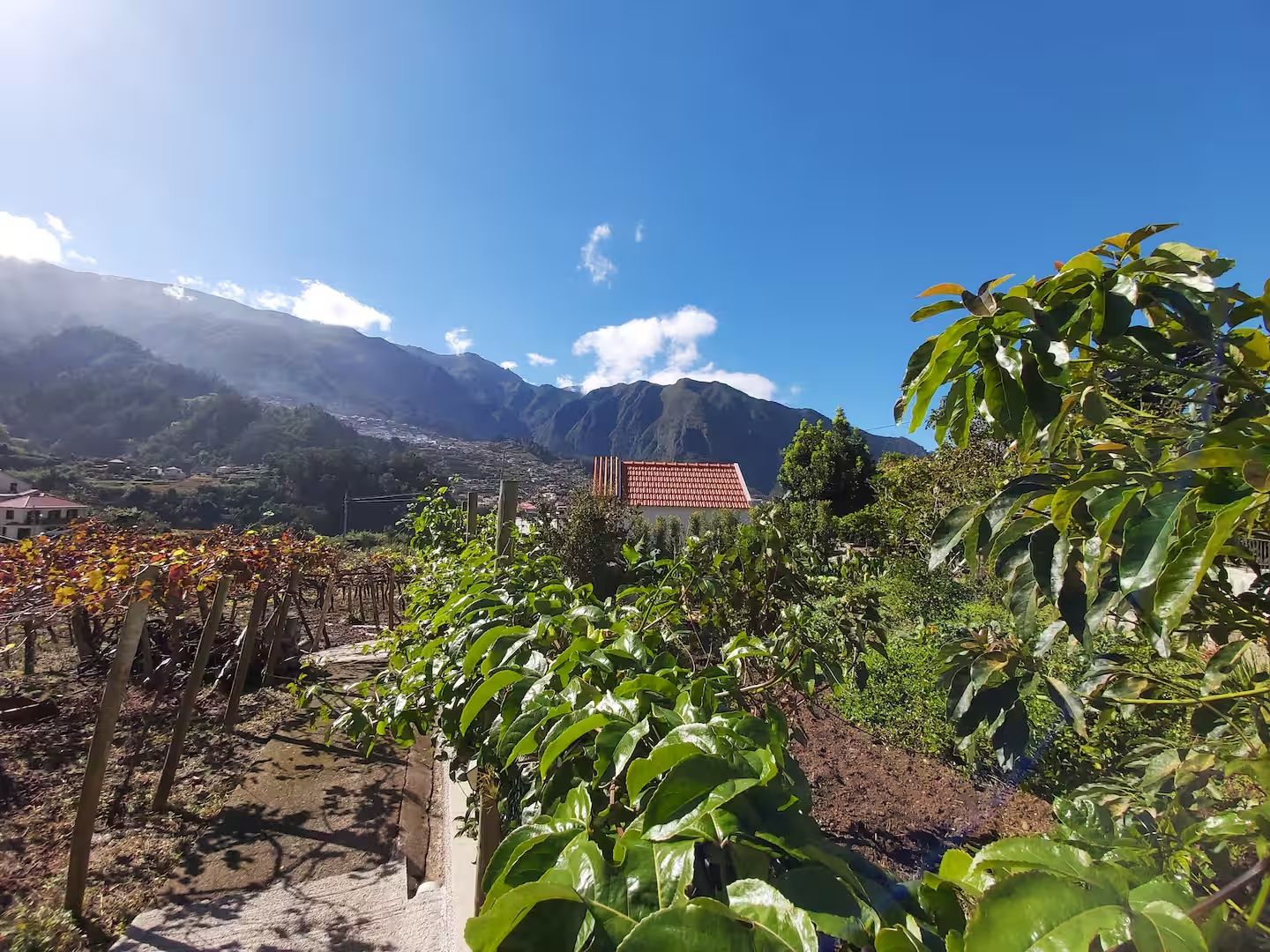 O vale de São Vicente visto da propriedade